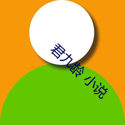 君九龄(lng) 小(xiǎo)说