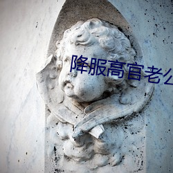 降服(fú)高官老公