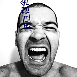 麻(麻)豆宿舍2剧(劇)情(情)