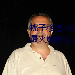 桃子移植100款小黄油游戏(打造最火爆的桃子移植游戏合集) （无事生非）