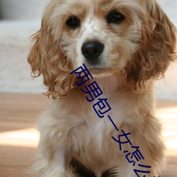 两(兩)男(男)包(包)一女(女)怎(怎)么搞