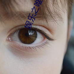 娛樂之唯一傳說
