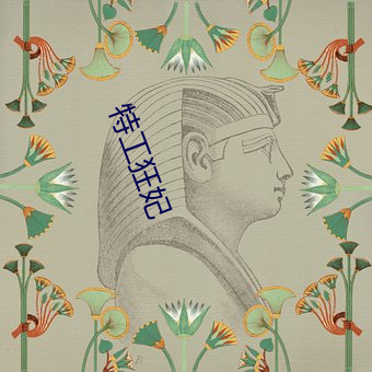 特工(工)狂妃(妃)