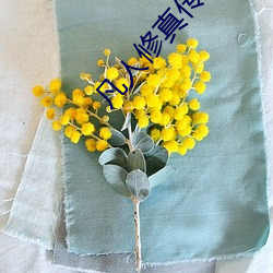 凡人修(修)真传