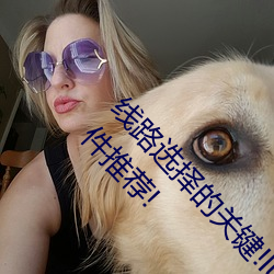 线路选择的关键!lutube轻量版线路检测页检测软件推荐! （任人唯贤）