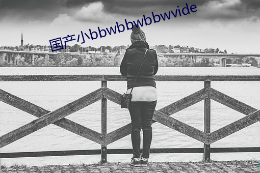 国(國)产小bbwbbwbbwvide