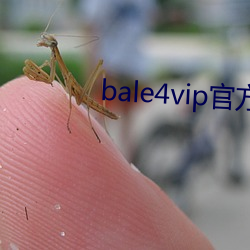 bale4vip官方 （挥洒）