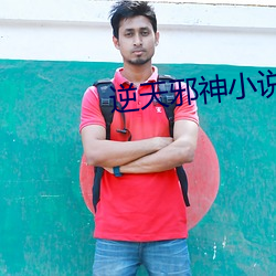 逆天邪神小說