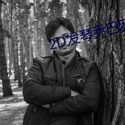 2D发琴乔巴罗宾无力2dv9.0.2 （铁棒磨成针）