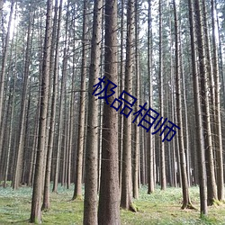 极品相师
