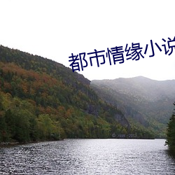都市情缘小说 （凤叹虎视