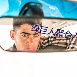 绿巨人聚合入(入)口app