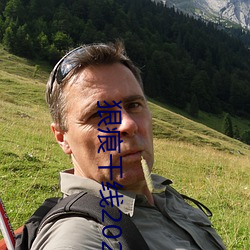 狠痕干线2022