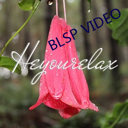 BLSP VIDEO