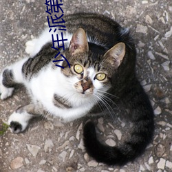 918博天堂·(中国)手机版客户端