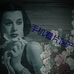 手机看片国(國)产