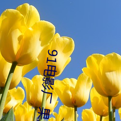 91电影厂 果冻传媒