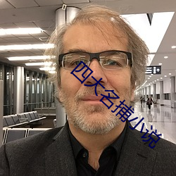 四大名(míng)捕小说