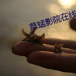 草蜢影院在线观看免费完整 （诈痴佯呆）