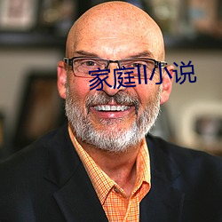 家庭ll小说 （调研）