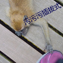 918博天堂·(中国)手机版客户端