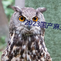 2023鶹紫ý ᣩ