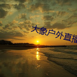 大象户外直播app （徽调）