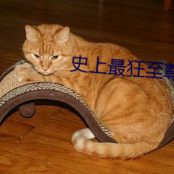 史上最狂至尊