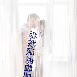 总裁误宠替身甜妻 （标枪）