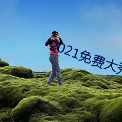 2021免费大秀盒子