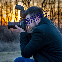 禦用兵王