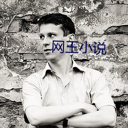 网王小说(shuō)