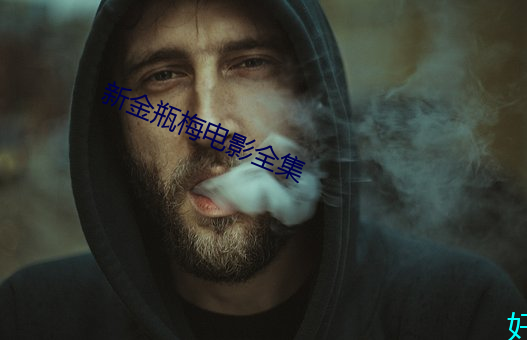 新金瓶梅影戏全集