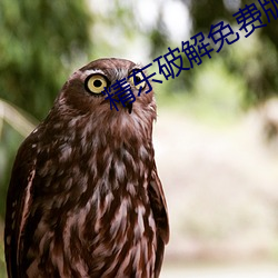 精东破解免费版 串游）