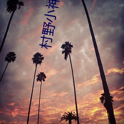 村野小神医小说