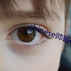 chinese帅哥(gē)Gay