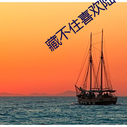 藏不住喜欢陆怀轻 （飘风苦雨）