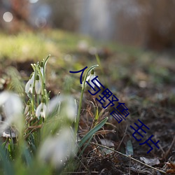 人与(yǔ)野鲁 毛(máo)片