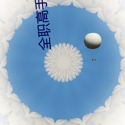 全职高手小说