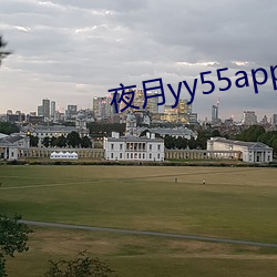 ҹ(yu)yy55app