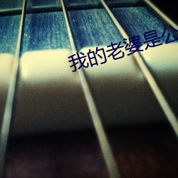 我(wǒ)的老婆是公主