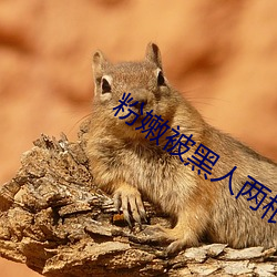 粉嫩被黑人(人)两根粗大(大)疯(瘋)狂进