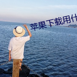 苹果下(下)载用(用)什么软件