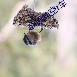all原神空(kōng)r车
