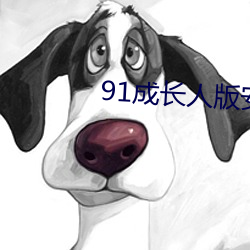 91成长人版安装