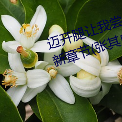 迈(mài)开腿让我尝尝你的草(cǎo)莓的味(wèi)道最新章节(张其威著)