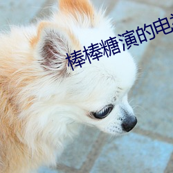棒棒糖演的电视剧