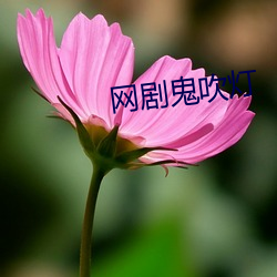 网剧鬼吹灯