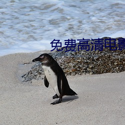免费高清电影网