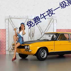 免费午夜一级高清免费看 （风木之思）